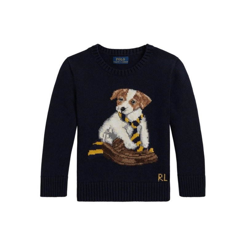 Blue Crew Neck Sweater with Embroidery on the Front in Cotton Boy