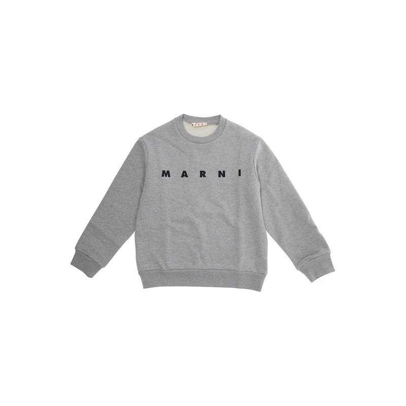 Grey Sweatshirt with Logo Lettering on the Front in Cotton Boy