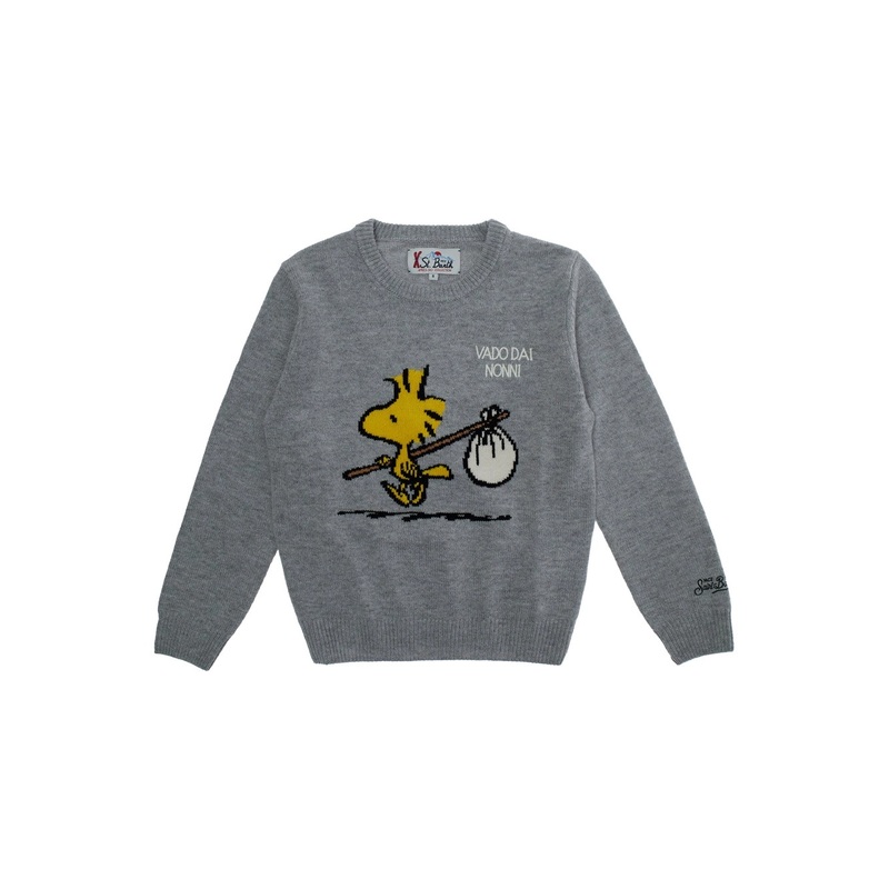 ‘Douglas’ Grey Sweater with Logo Embroidery on the Front in Wool Blend Boy