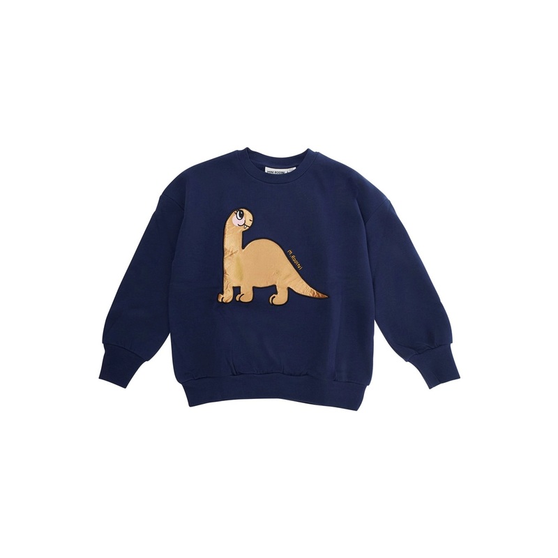Blue Sweatshirt with Dino Patch on the Front in Cotton Baby