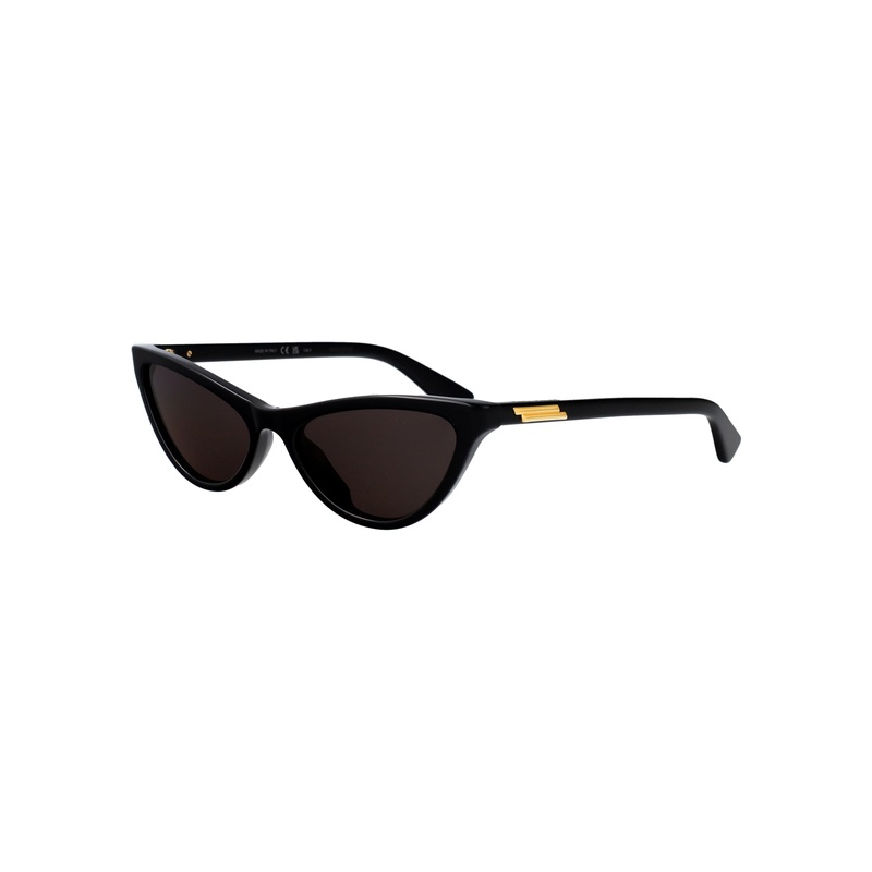 BV1414S Sunglasses in Black Recycled Acetate